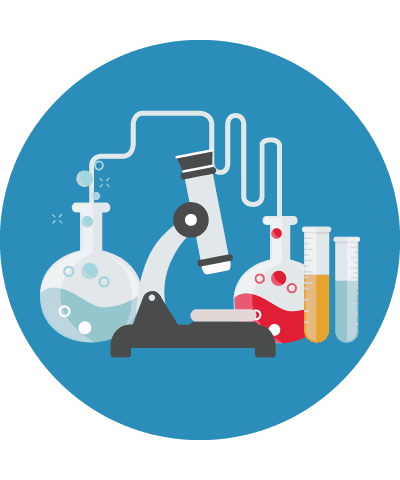 IT &#8211; Chimica, materiali e biotecnologie: articolazione Biotecnologie sanitarie
